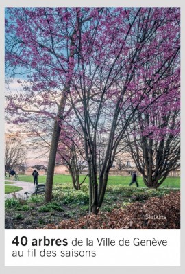 40 ARBRES DE LA VILLE DE GÈNEVE